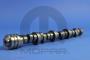 View CAMSHAFT. Engine.  Full-Sized Product Image 1 of 8